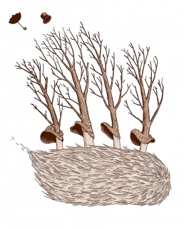 Aleix Abellanet trees Illustration